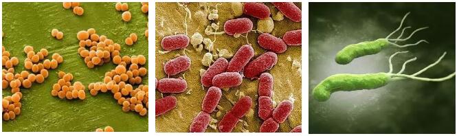 /ueditor/jsp/upload/image/20200310/1583820780193052791.jpg QQ截圖20200310141239.jpg