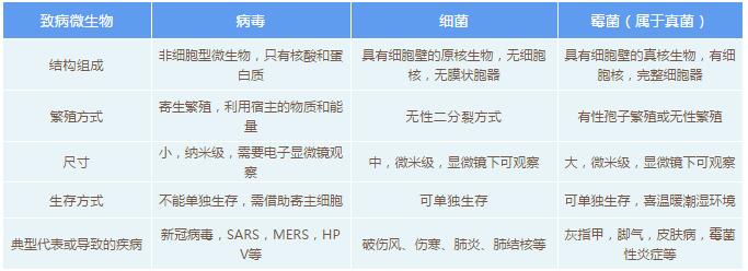 /ueditor/jsp/upload/image/20200310/1583821134159076297.jpg /ueditor/jsp/upload/image/20200310/1583821134159076297.jpg