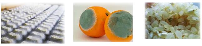 /ueditor/jsp/upload/image/20200310/1583820572276059679.jpg /ueditor/jsp/upload/image/20200310/1583820572276059679.jpg